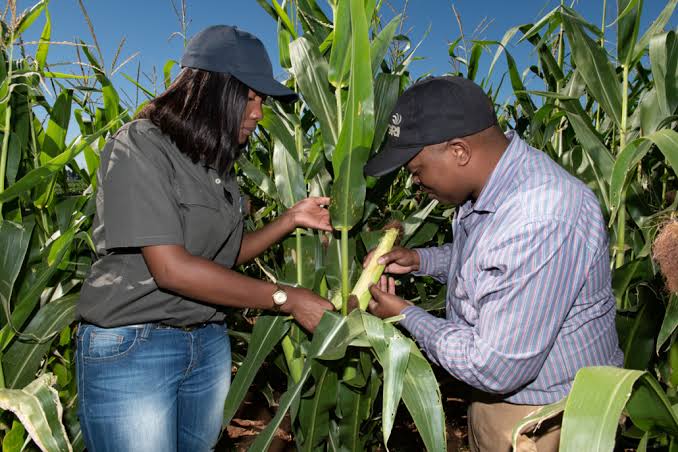 Agricultural Products